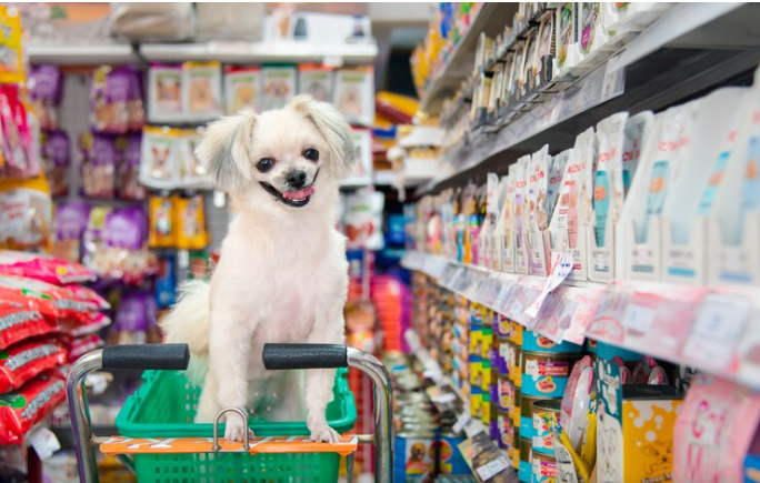 Industri Hewan Peliharaan di Thailand Raup Rp111 Triliun pada 2023